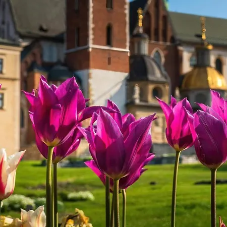 Διαμέρισμα Designomania - Nadwislanska 11 Krasków