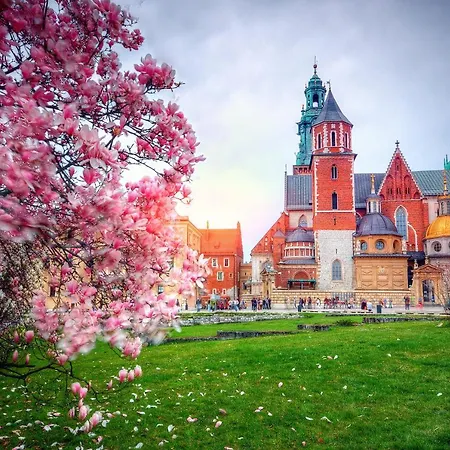 Designomania - Nadwislanska 11 Διαμέρισμα